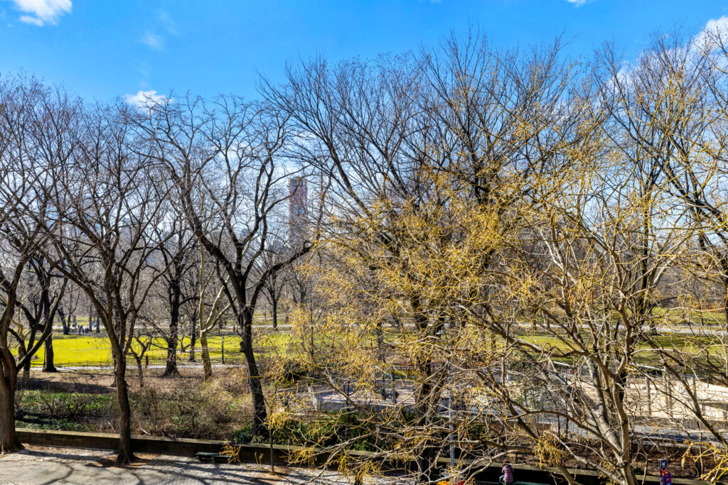 900 Fifth Avenue • 4A